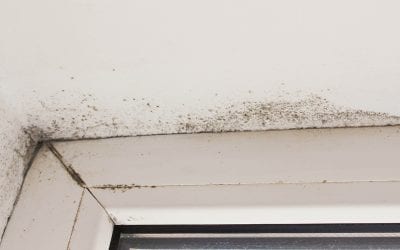 Four Tips For Preventing Mold Growth In Your Home