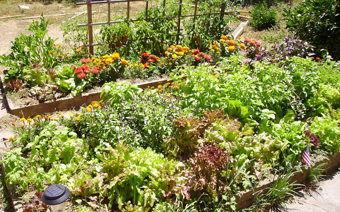 6 Tips to Prepare Your Garden for Spring