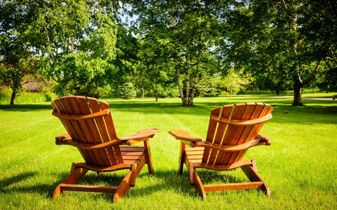 8 Tips for Summer Lawn Care: Keeping Your Yard Healthy and Green