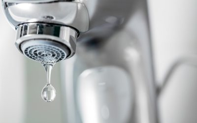 5 Practical Tips to Save Water at Home